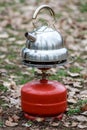 A tourist metal kettle stands on a red tourist burner in a forest on the ground