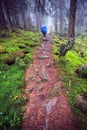 Tourist on a misty path in wild forest