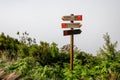 Tourist mountain path through green plants and cloudy fog with a wooden destination sign. Royalty Free Stock Photo