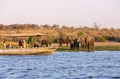Tourist observe elephants in the edge of Chobe National Park, Botswana, Africa