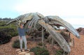 A Tourist Observes a Large Gray Whale Skeleton Royalty Free Stock Photo