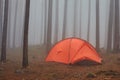 Tourist orange tent in the fog in the forest Royalty Free Stock Photo