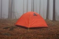 Tourist orange tent in the fog in the forest Royalty Free Stock Photo