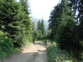 The mountain range of the Marmaros of the Ukrainian Carpathians near the town of Rakhiv of the Transcarpathian region. Ukraine. 08 Royalty Free Stock Photo