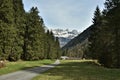 Tourist path towards to Murg lakes bordered from both sides with dense conifer forest Royalty Free Stock Photo