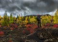 Tourist photographer takes picture autumn landscape in Dead Forest Dead Wood - consequence of natural disaster -