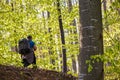 Tourist photographing the forest Royalty Free Stock Photo