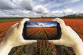 Tourist photographing a tulip farm