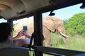 A tourist photographs an elefant out of a safari jeep. South Africa.