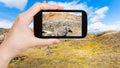 tourist photographs Laugahraun volcanic lava field