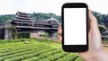 tourist photographs tea field and Fengyu bridge Royalty Free Stock Photo