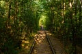 Tourist place of Ukraine love tunnel, tourism in Ukraine, tourist points in Rivne