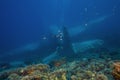 Tourist plane wreck on Maldive islands. Take a trip and take photos