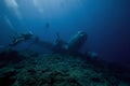 Tourist plane wreck on Maldive islands. Take a trip and take photos