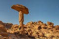 A tourist poses for the camera next to the base of âthe mushroomâ, a characteristic rock formation of Ennedi. Chad.