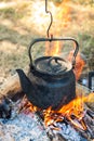 Tourist pot over camp fire Royalty Free Stock Photo