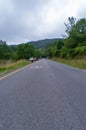 A tourist prostrated on the pavement of a road, takes a photo.