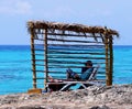 Tourist Reading Book In Shaded Shelter Cuba