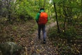 A tourist with a red backpack walks along a mountain path in the forest in spring or autumn. Traveler, tourist in autumn Royalty Free Stock Photo