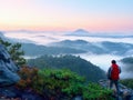 Tourist with red outdoor windcheater in dwarf pines. Autumn hilly landscape