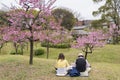 Sakura flower garden in Osaka, Japan