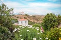 Tourist resort Carrapateira, mediterranean landscape Portugal with flowers and windmill, west algarve