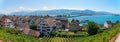 Tourist resort Rapperswil, green vineyard, view from the castle Royalty Free Stock Photo