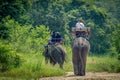 Tourist ride the adventure elephant trekking through the jungle