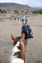 The tourist ride horse are going to Bromo mountain