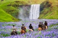 Tourist ride horse at Skogafoss waterfall Iceland