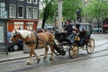 A tourist rides a carriage drawn by a horse. Amsterdam, Holland.