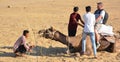 Tourist riding a camel for tourists for camel ride