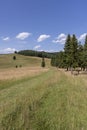 Tourist route along the peak of the Pieniny Mountains, panorama of picturesque meadows against the blue sky, Poland