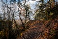 Tourist route, autumn forest near Drabske svetnicky protected landscape area, fallen leaves, naked trees and blue sky, winter