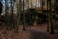 Tourist route, autumn forest near Drabske svetnicky protected landscape area, fallen leaves, naked trees and blue sky, winter