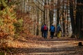 Tourist route, autumn forest near Msenske Poklicky, hiking in Kokorin Protected landscape Area in sunny day, Drouzkovska cesta,
