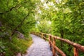 Tourist route in the green sunny summer forest from entrance into the park in Plitvice Lakes National park, Croatia