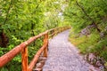 Tourist route in the green sunny summer forest from entrance into the park in Plitvice Lakes National park, Croatia