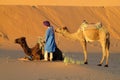 Tourist safari on camels in desert