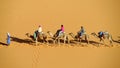 Tourist safari on camels in desert