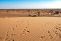 Tourist safari vehicle seen from North Horr Sand dunes in Marsabit County, Kenya