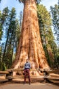 Tourist in Sequoia National Park Royalty Free Stock Photo