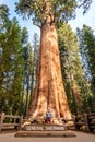 Tourist in Sequoia National Park Royalty Free Stock Photo