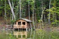 Tourist shelter in a forest