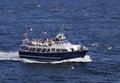 Tourist ship with Northern Gannets flying around in Bonaventure Island, Canada