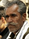 Tourist in Shivaratri Festival