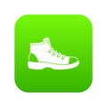 Tourist shoe icon digital green