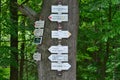 Tourist signposting on the bark of a tree Royalty Free Stock Photo