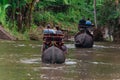 Tourist Sitting on the back of an elephant Cross the pool