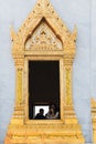 Tourist snaps a photo from an ornate window of Wat Traimit, an i